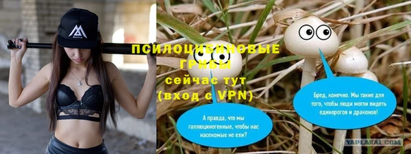 apvp Алексеевка