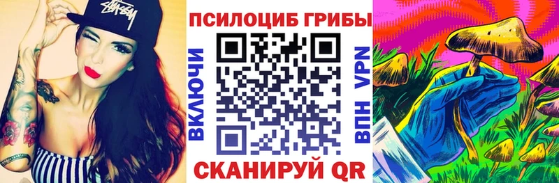 darknet наркотические препараты  Тейково  Галлюциногенные грибы Magic Shrooms  omg ТОР 