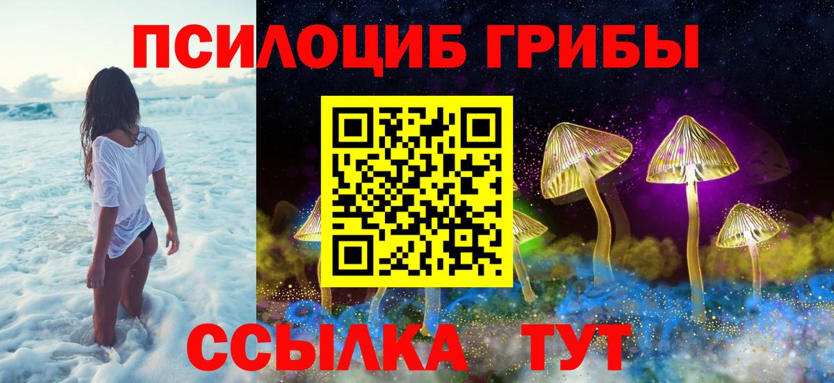 Псилоцибиновые грибы мицелий Тейково