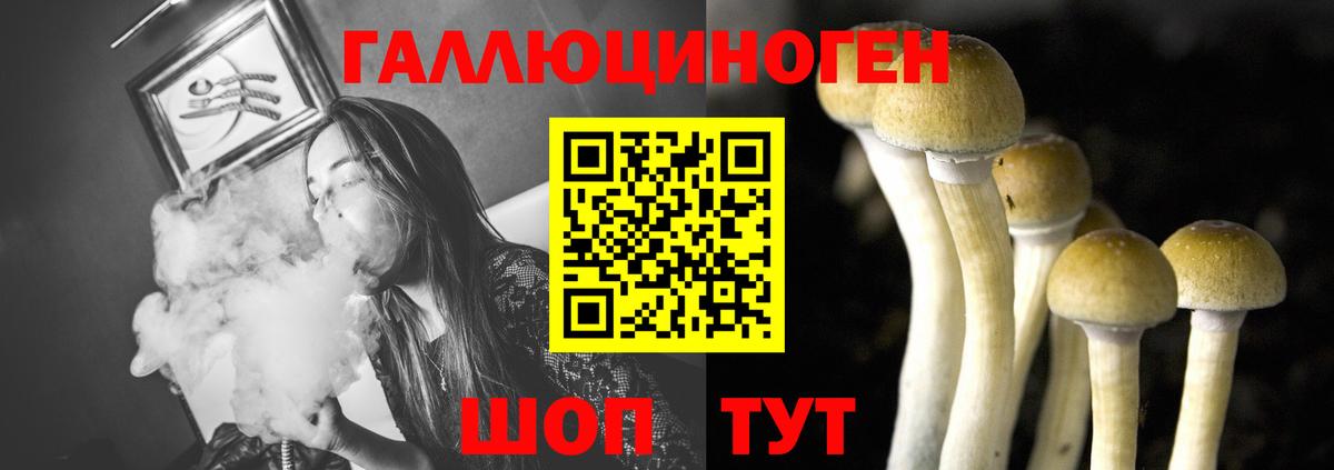 Псилоцибиновые грибы Psilocybe  Вход с VPN  Тейково 