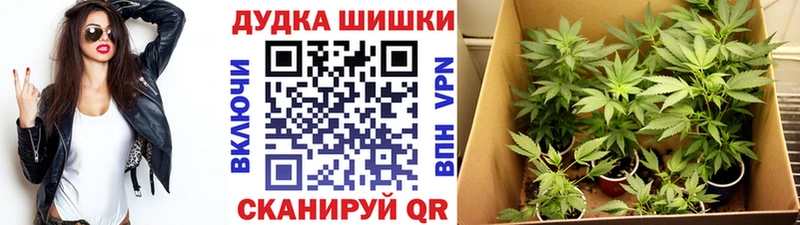 продажа наркотиков  Тейково  Конопля гибрид 
